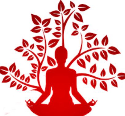 Yoga & Herbs