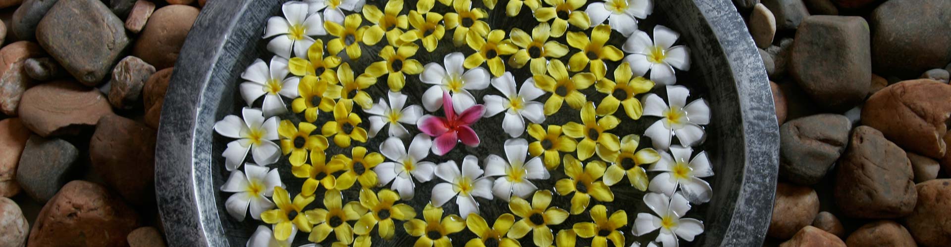 A hiteles Ayurveda gyógyászat már 25 éve Magyarországon