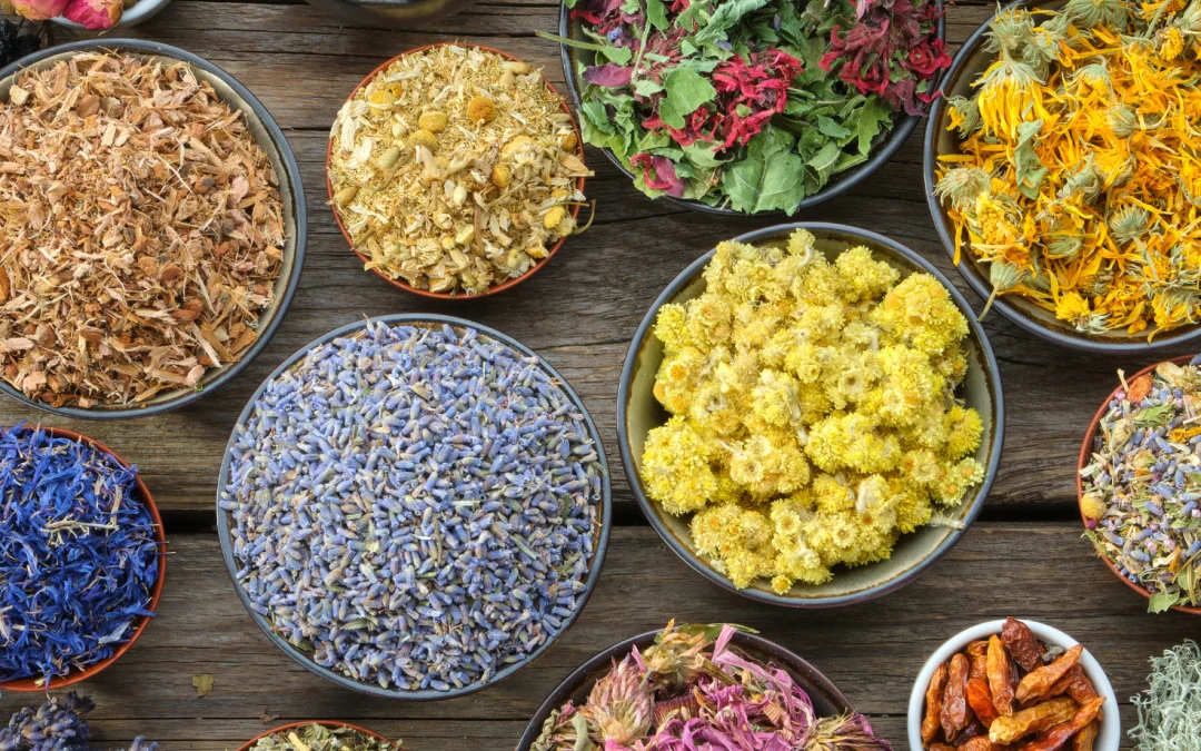 Ayurvedával egy fenntartható jövőért