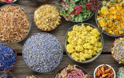 Ayurvedával egy fenntartható jövőért