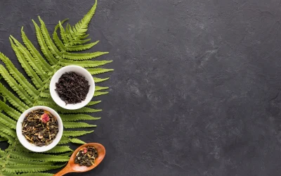 Az Ayurveda szerepe a XXI. századi orvoslásban